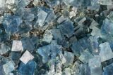 Blue Cubic Fluorite on Quartz - China #111907-2